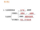 人教版七年级上册生物课件 第一单元 1.2.2.1 生态系统