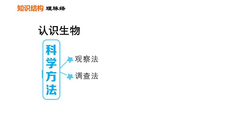 人教版七年级上册生物课件 第一单元 第一章巩固强化复习第2页