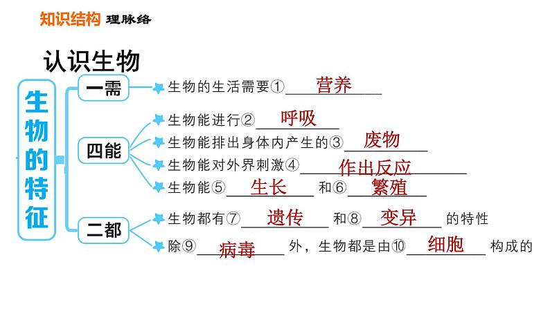 人教版七年级上册生物课件 第一单元 第一章巩固强化复习第3页