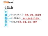 人教版七年级上册生物课件 第一单元 第一章巩固强化复习