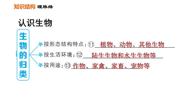 人教版七年级上册生物课件 第一单元 第一章巩固强化复习第4页