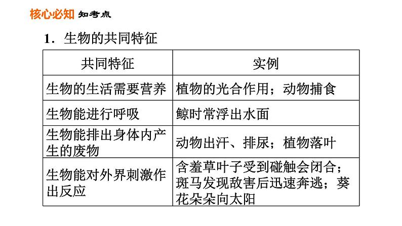 人教版七年级上册生物课件 第一单元 第一章巩固强化复习第5页