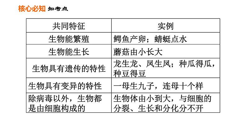 人教版七年级上册生物课件 第一单元 第一章巩固强化复习第6页