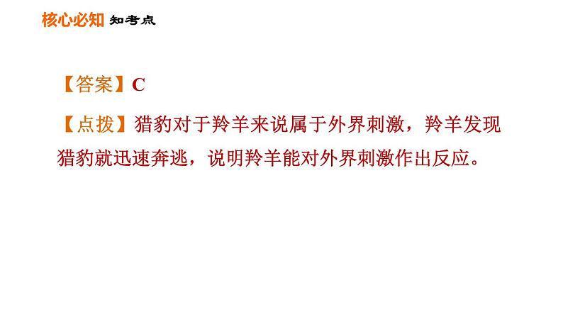 人教版七年级上册生物课件 第一单元 第一章巩固强化复习第8页