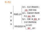 人教版七年级上册生物课件 第二单元 2.1.2.1 观察植物细胞