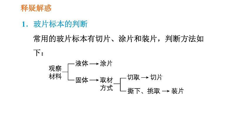 人教版七年级上册生物课件 第二单元 2.1.2.1 观察植物细胞第8页