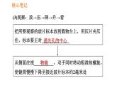 人教版七年级上册生物课件 第二单元 2.1.1 练习使用显微镜
