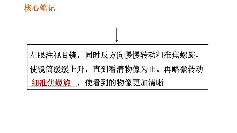 人教版七年级上册生物课件 第二单元 2.1.1 练习使用显微镜06