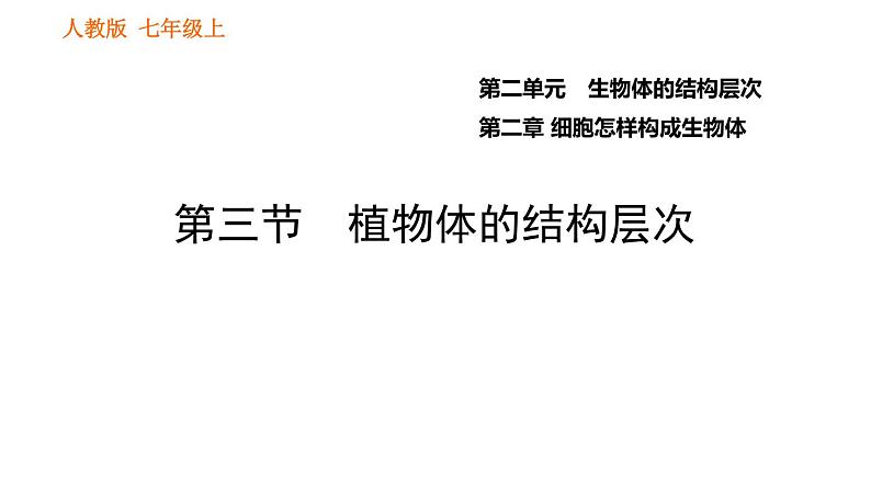 人教版七年级上册生物课件 第二单元 2.2.3 植物体的结构层次第1页