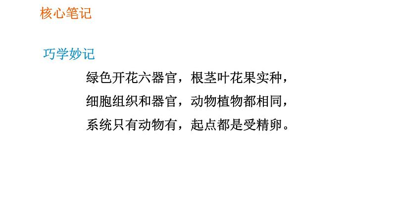 人教版七年级上册生物课件 第二单元 2.2.3 植物体的结构层次第5页