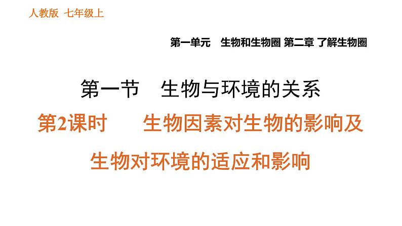 人教版七年级上册生物课件 第一单元 1.2.1.2 生物因素对生物的影响及生物对环境的适应和影响01