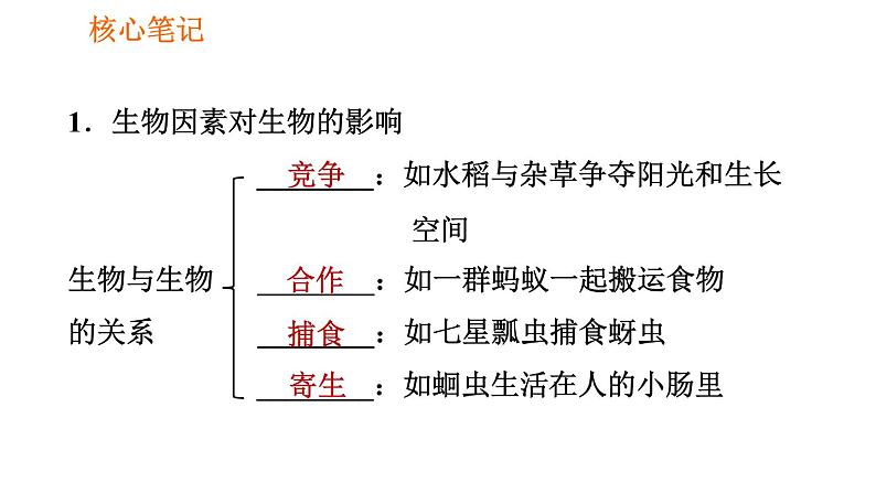 人教版七年级上册生物课件 第一单元 1.2.1.2 生物因素对生物的影响及生物对环境的适应和影响第2页