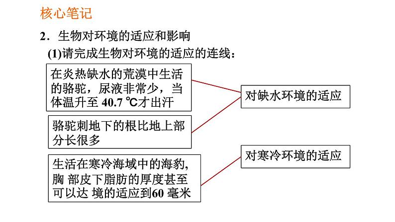 人教版七年级上册生物课件 第一单元 1.2.1.2 生物因素对生物的影响及生物对环境的适应和影响03