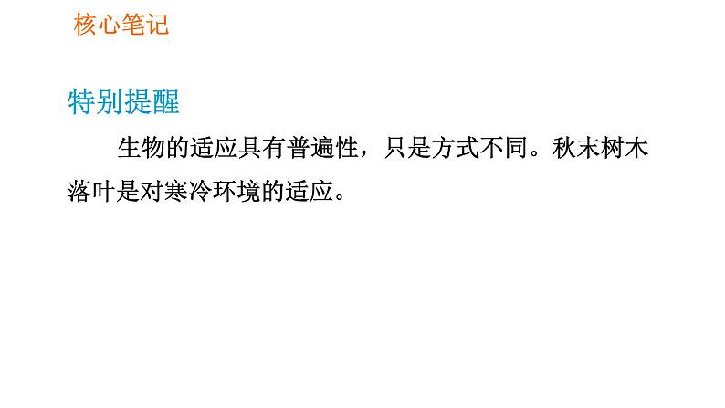 人教版七年级上册生物课件 第一单元 1.2.1.2 生物因素对生物的影响及生物对环境的适应和影响04