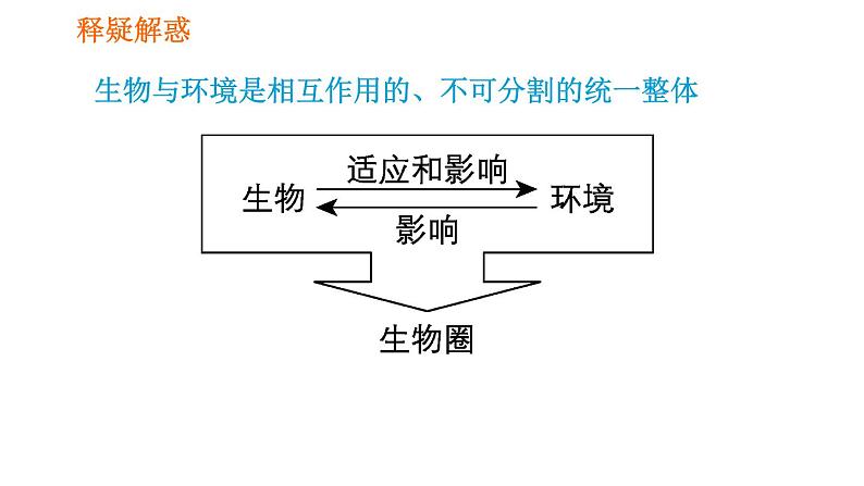 人教版七年级上册生物课件 第一单元 1.2.1.2 生物因素对生物的影响及生物对环境的适应和影响06