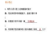 人教版七年级上册生物课件 第二单元 2.1.3 动物细胞