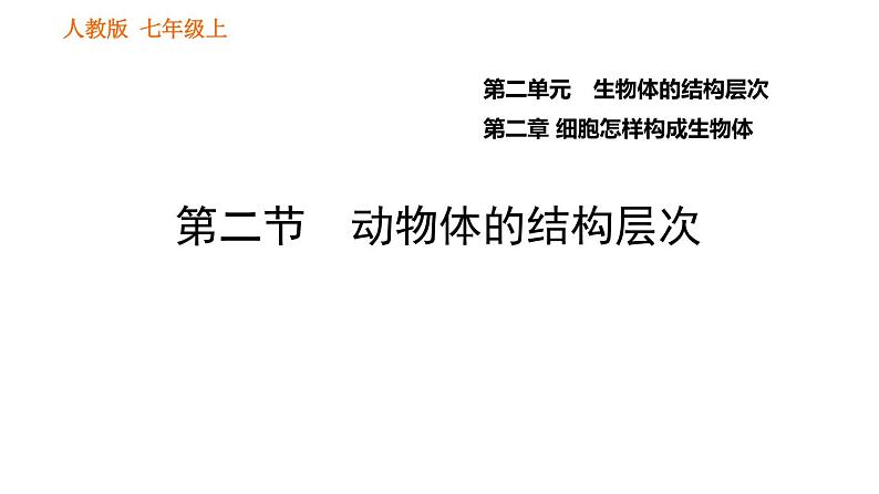 人教版七年级上册生物课件 第二单元 2.2.2 动物体的结构层次01