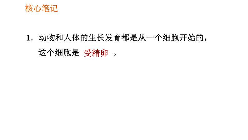 人教版七年级上册生物课件 第二单元 2.2.2 动物体的结构层次02