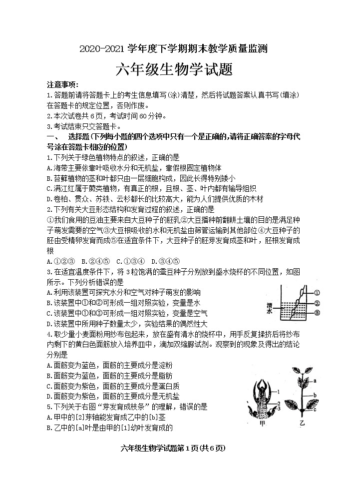 山东省泰安市肥城市2020-2021学年六年级下学期期末教学质量监测生物试题（word版，含答案）第1页