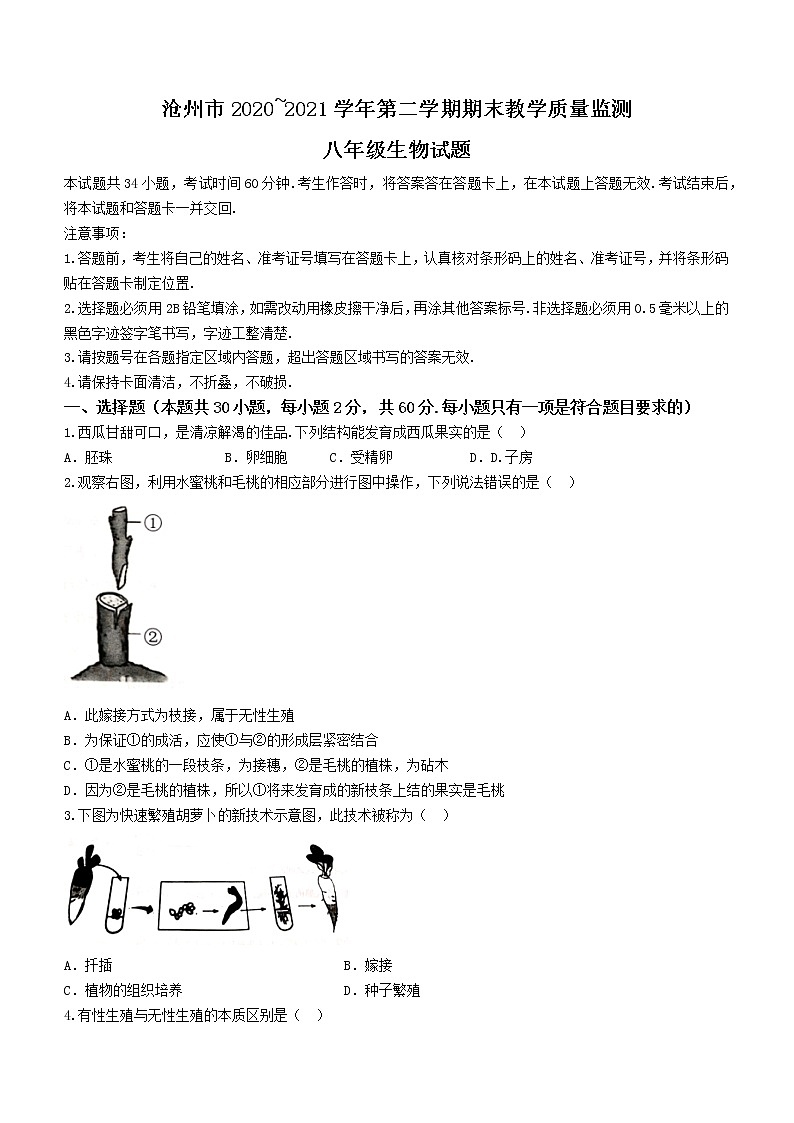 河北省沧州市2020-2021学年八年级下学期期末生物试题（word版 含答案）01