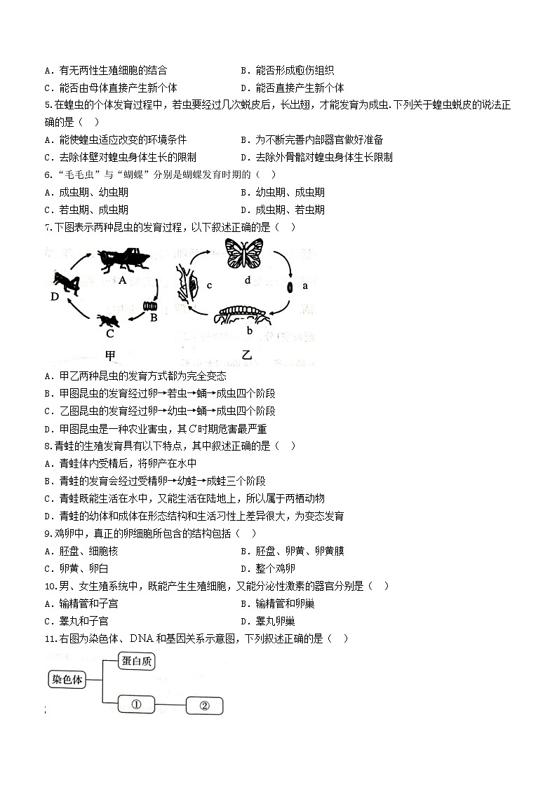 河北省沧州市2020-2021学年八年级下学期期末生物试题（word版 含答案）02