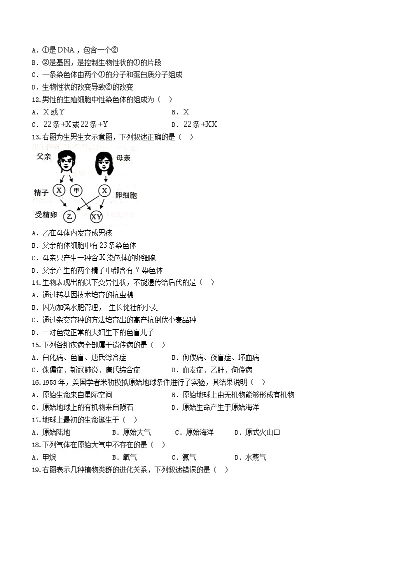 河北省沧州市2020-2021学年八年级下学期期末生物试题（word版 含答案）03