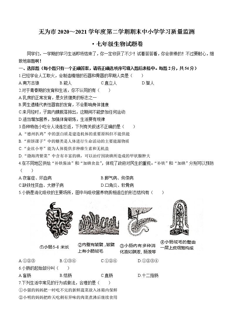 安徽省芜湖市无为市2020-2021学年七年级下学期期末生物试题（word版 含答案）第1页