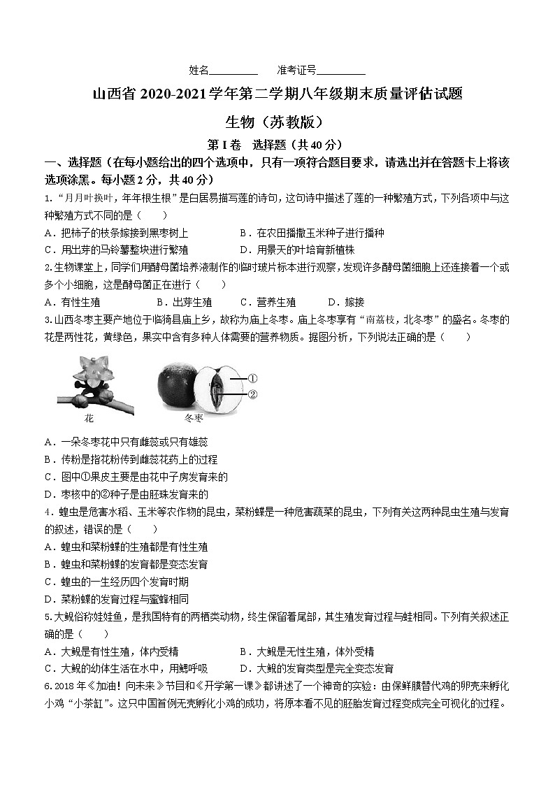 山西省晋中市榆次区2020-2021学年八年级下学期期末生物试题（word版 含答案）01