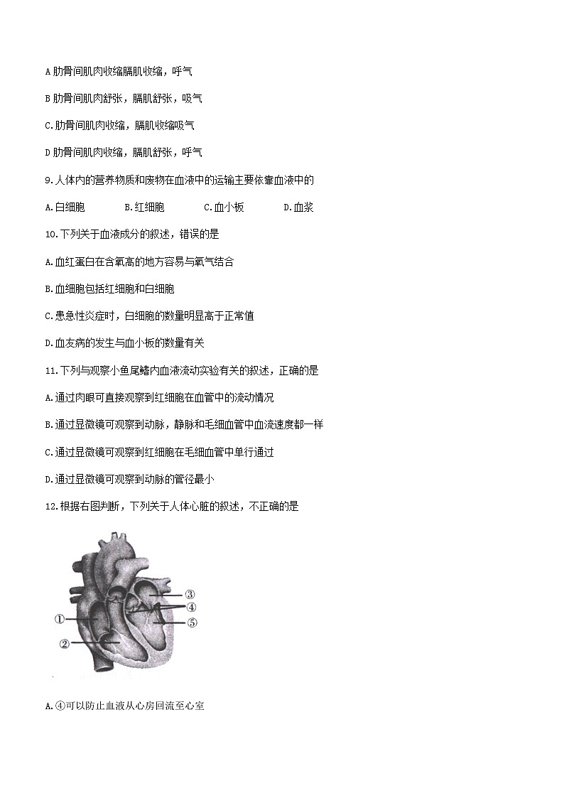 安徽省六安市霍邱县2020-2021学年七年级下学期期末生物试题（word版 含答案）03