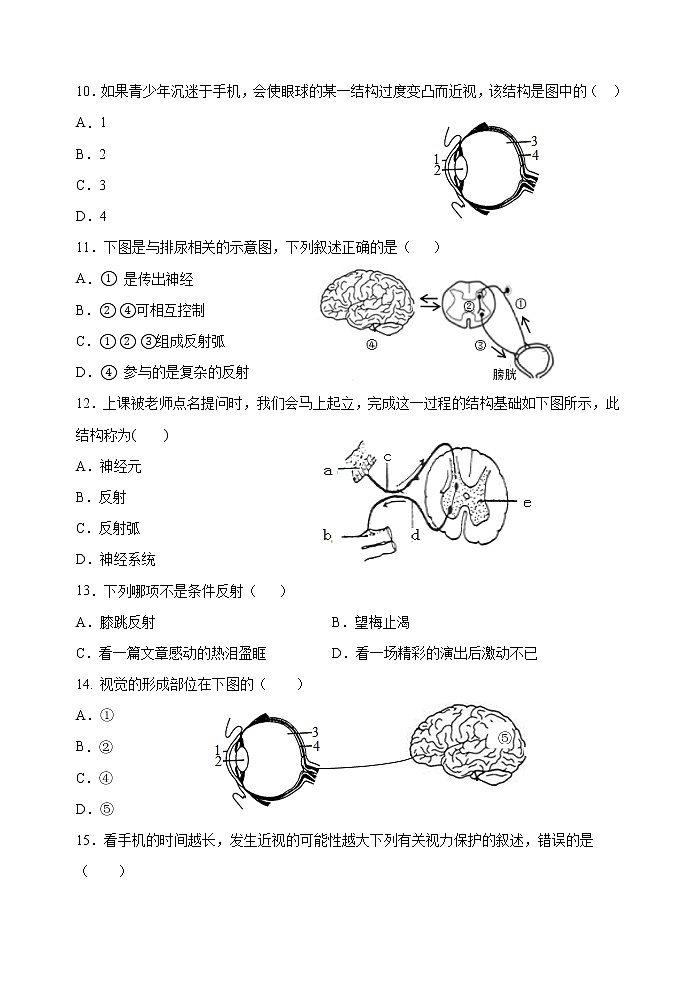 -河北省秦皇岛市青龙县2020-2021学年七年级下学期期末考试生物试题（word版 含答案）第3页