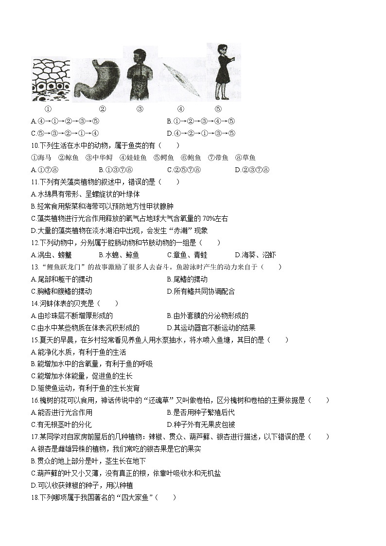 江苏省宿迁市泗阳县2020-2021学年七年级下学期期末生物试题（word版 含答案）02