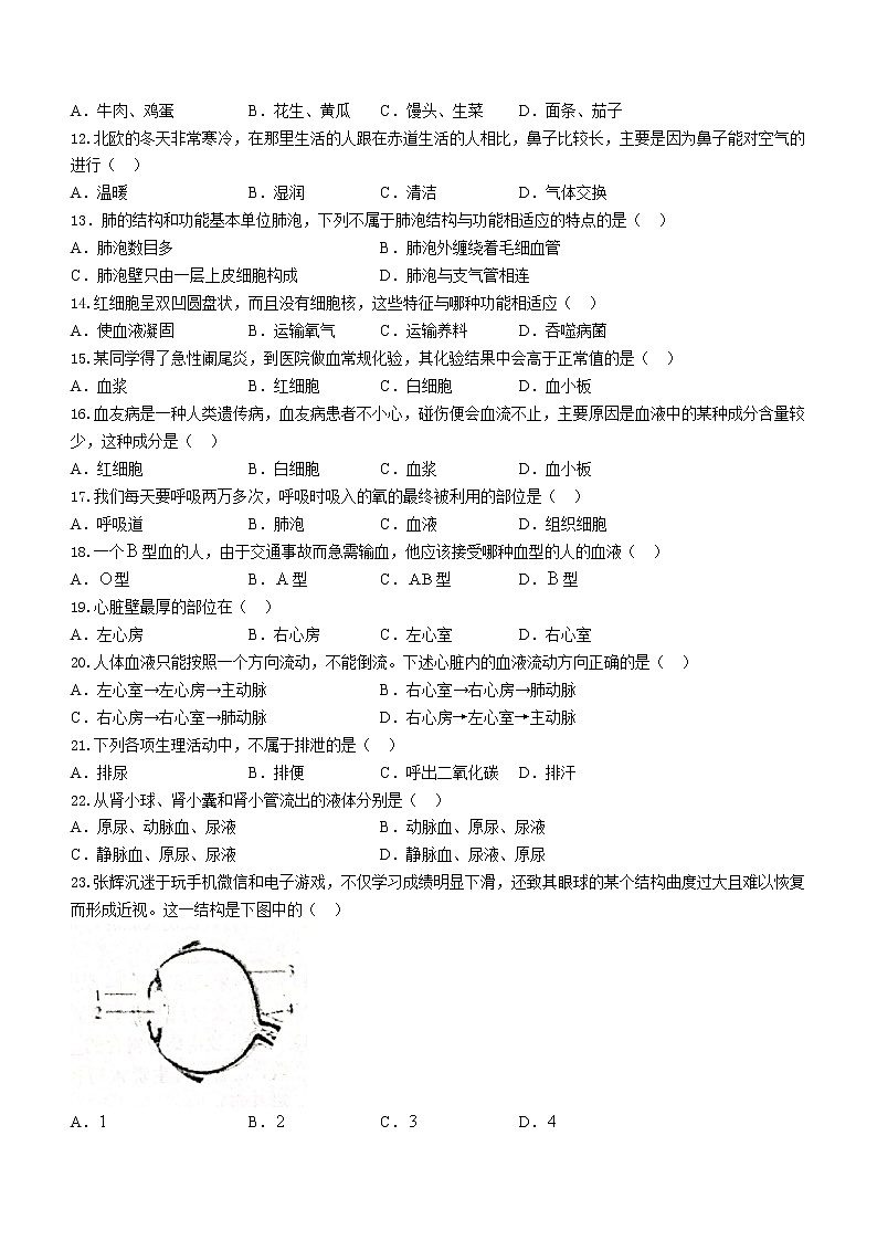 安徽省六安市金寨县2020-2021学年七年级下学期期末生物试题（word版 含答案）第2页