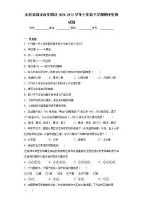 山东省菏泽市东明县2020-2021学年七年级下学期期中生物试题（word版 含答案）