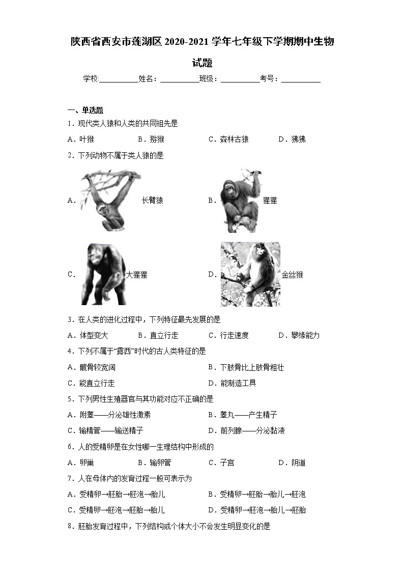 陕西省西安市莲湖区2020-2021学年七年级下学期期中生物试题（word版 含答案）01