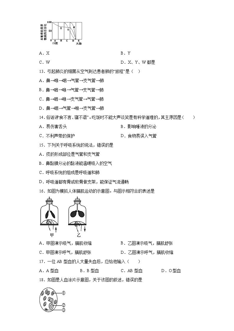 四川省眉山市青神县2020-2021学年七年级下学期期中生物试题（word版 含答案）第3页