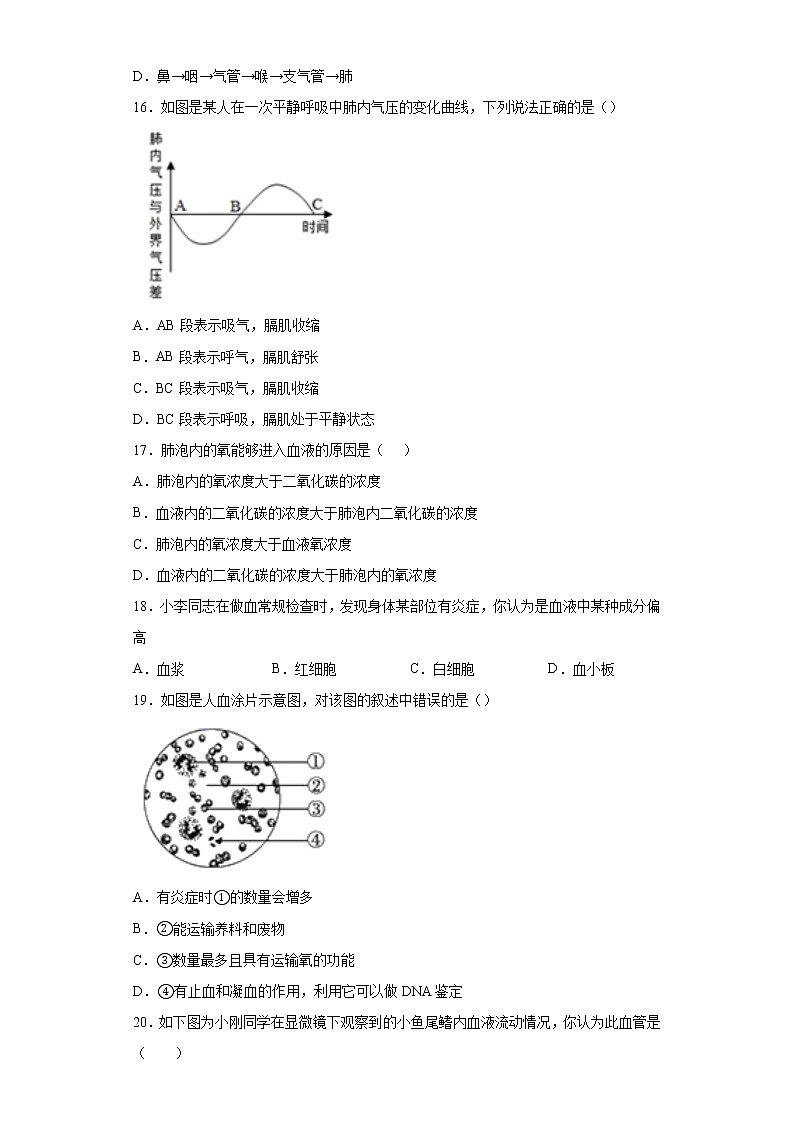江西省抚州市南丰县2020-2021学年七年级下学期期中生物试题（word版 含答案）第3页