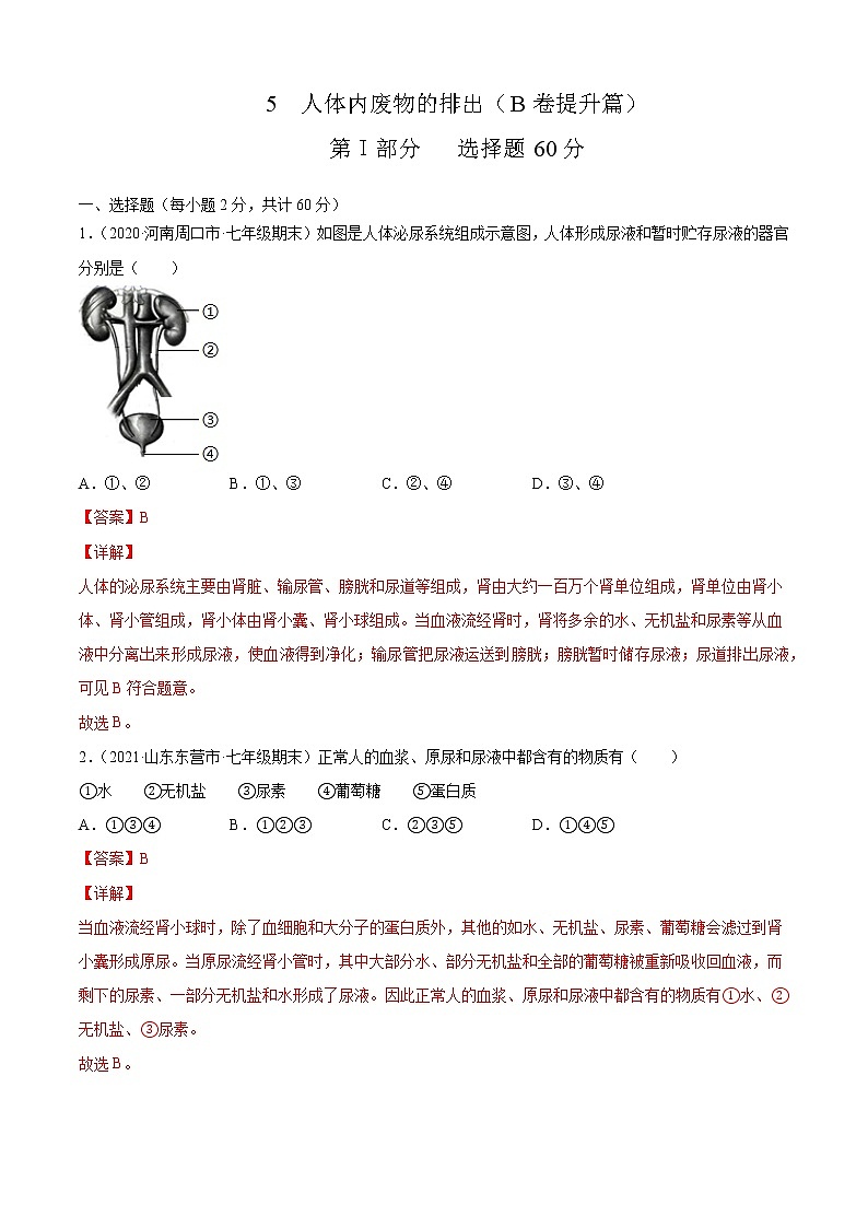 第五章 人体内废物的排出  B卷（中等难度）-2020-2021学年七年级生物下册同步单元AB卷（人教版）.01