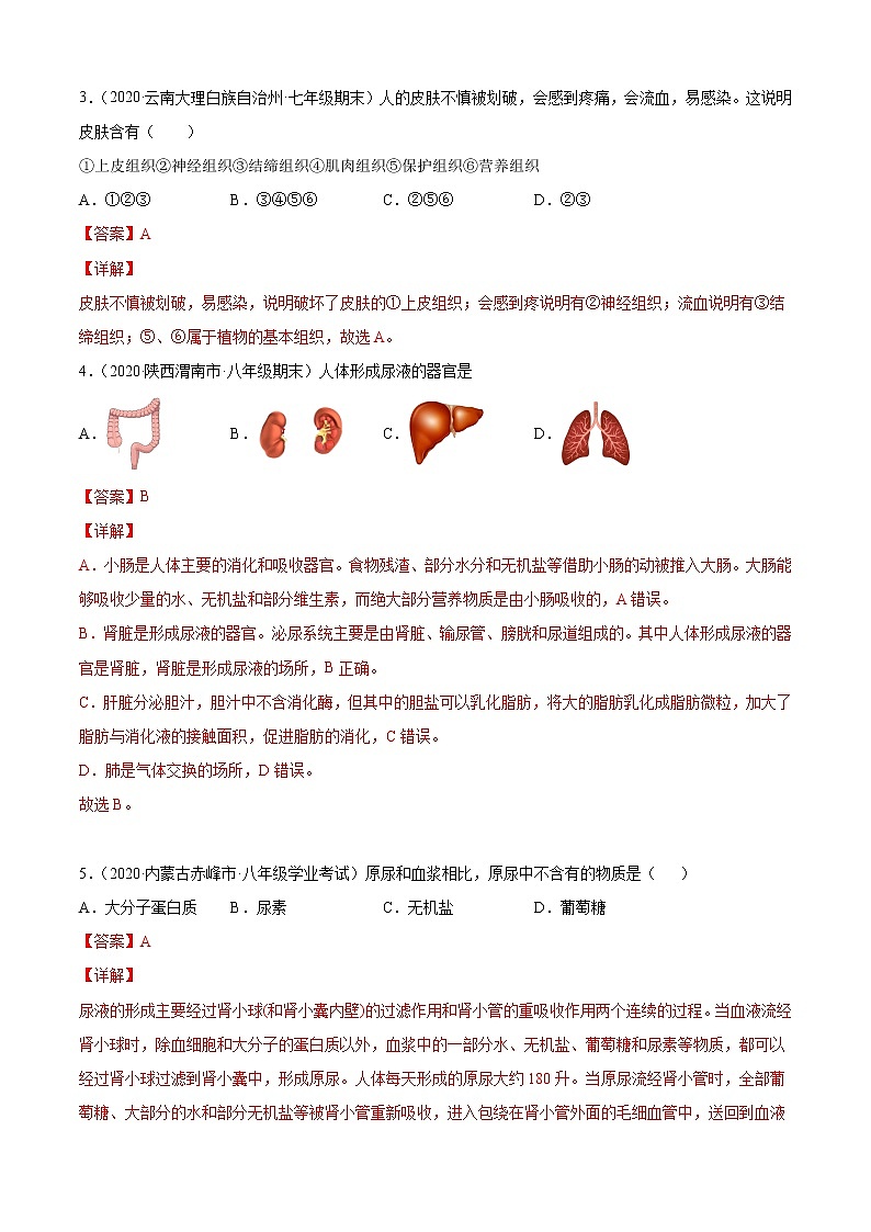 第五章 人体内废物的排出  B卷（中等难度）-2020-2021学年七年级生物下册同步单元AB卷（人教版）.02