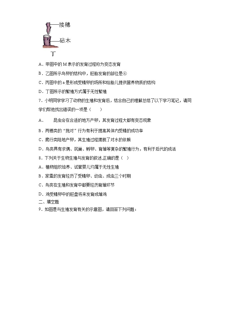 7.1.4 鸟的生殖和发育（练习）（原卷版）第2页