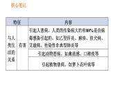 人教版八年级上册生物习题课件第5单元 第5章 病毒