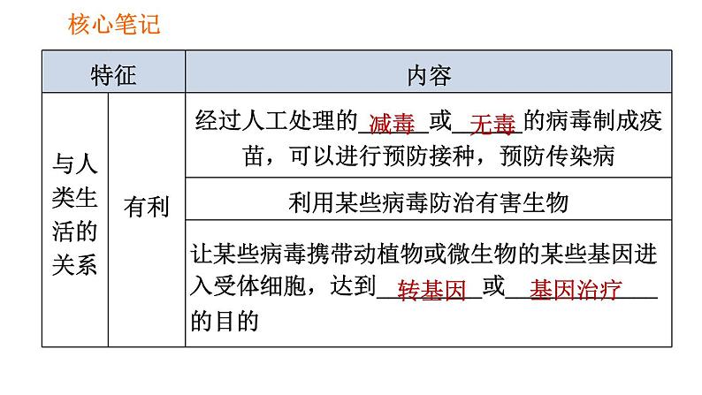 人教版八年级上册生物习题课件第5单元 第5章 病毒05