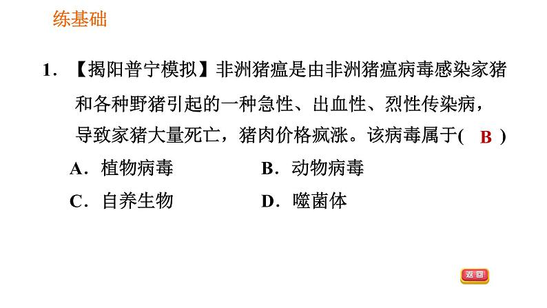 人教版八年级上册生物习题课件第5单元 第5章 病毒07