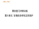 人教版八年级上册生物习题课件 期末复习冲刺 第六单元0