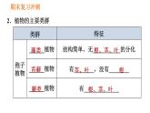 人教版八年级上册生物习题课件 期末复习冲刺 第六单元0