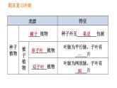 人教版八年级上册生物习题课件 期末复习冲刺 第六单元0