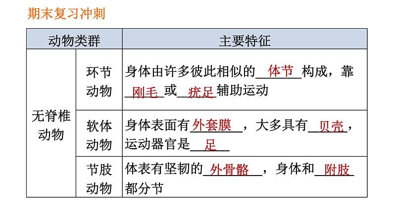 人教版八年级上册生物习题课件 期末复习冲刺 第五单元0第5页