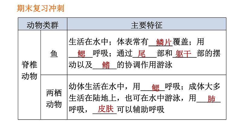 人教版八年级上册生物习题课件 期末复习冲刺 第五单元0第6页