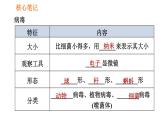 人教版八年级上册生物习题课件 第5单元 第5章 病毒