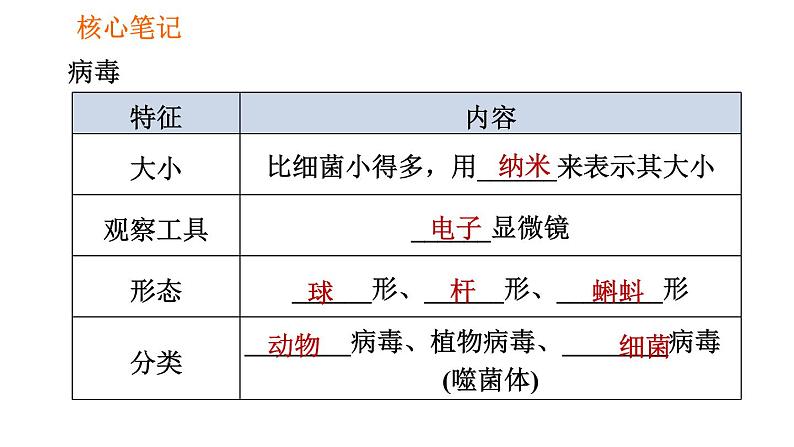 人教版八年级上册生物习题课件 第5单元 第5章 病毒02