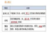 人教版八年级上册生物习题课件 第5单元 第5章 病毒